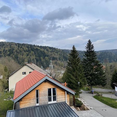 Traumferienwohnung Todtmoos - Appartment Mit Schoenem Wintergarten Eksteriør bilde