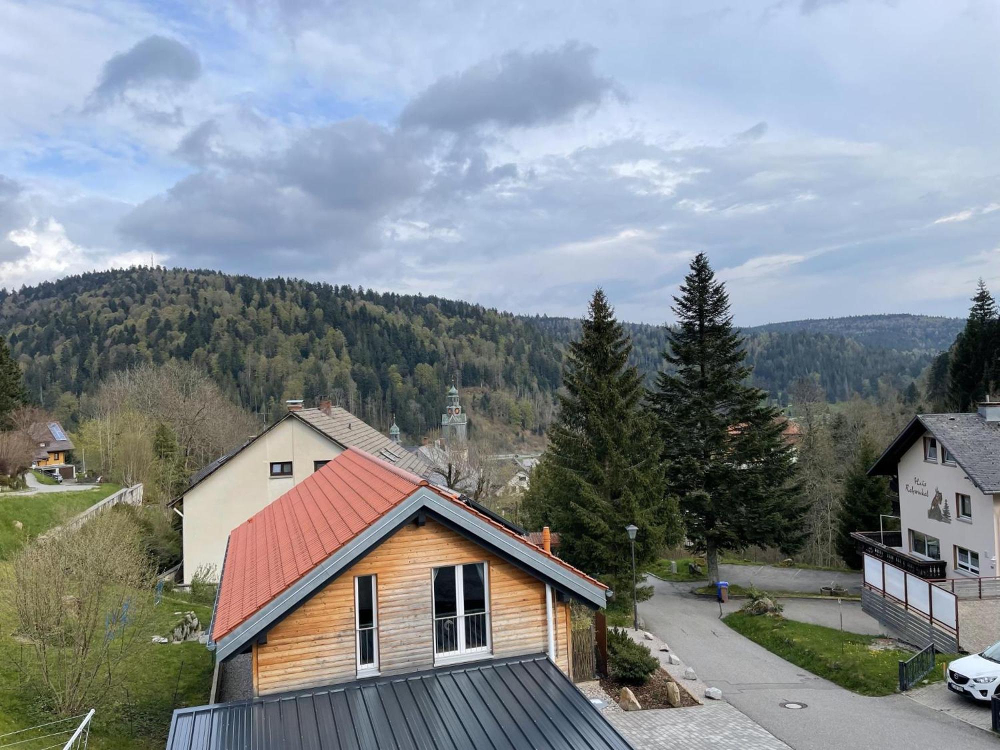 Traumferienwohnung Todtmoos - Appartment Mit Schoenem Wintergarten Eksteriør bilde